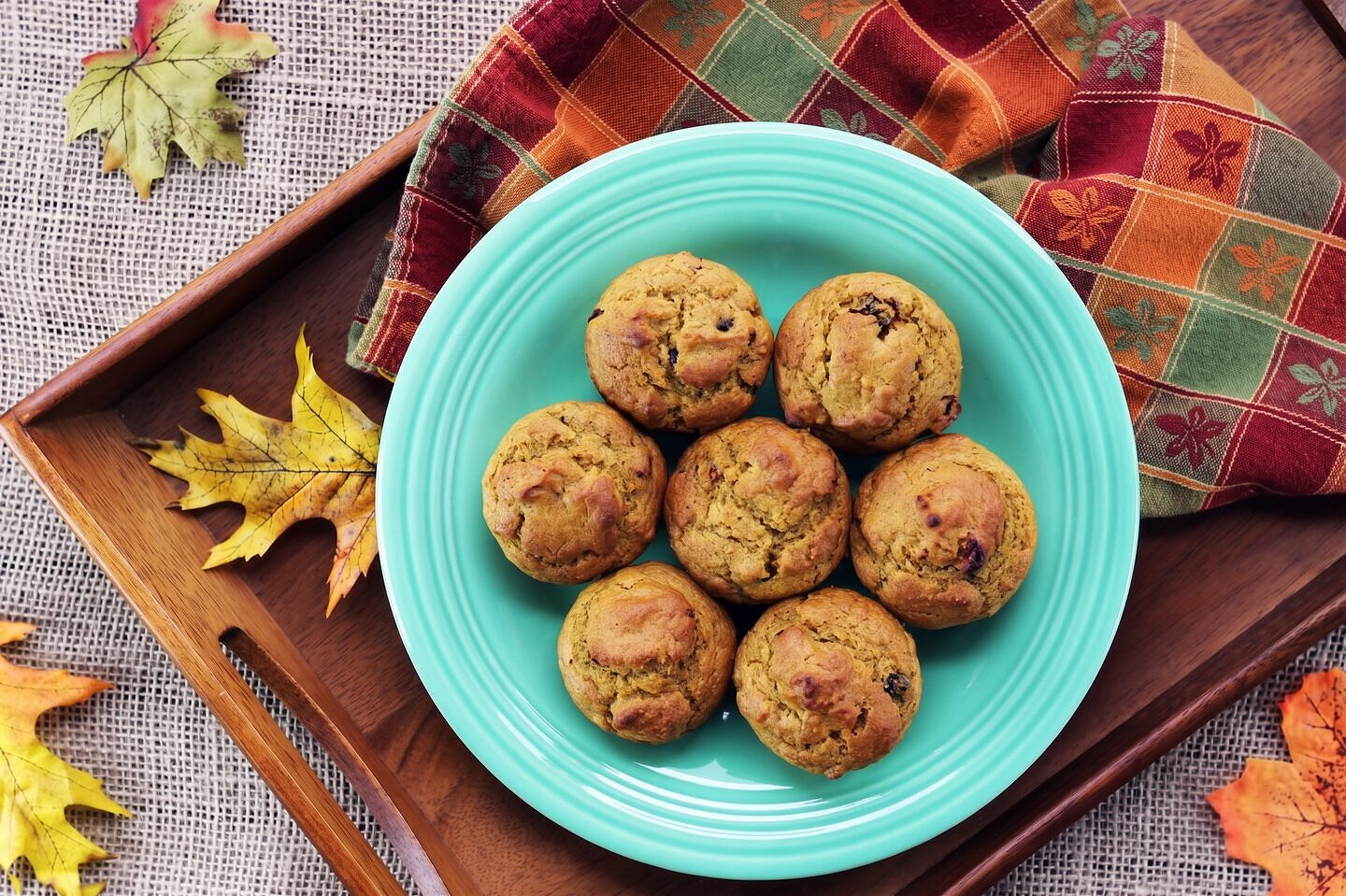 Cranberry Pumpkin Muffins